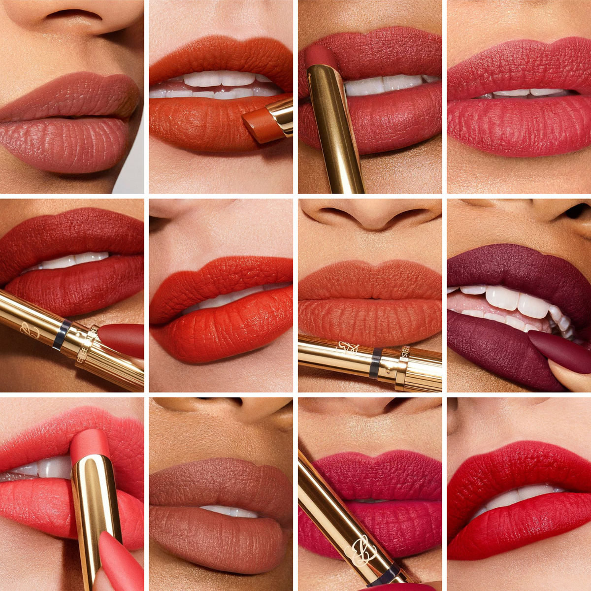 Estée Lauder Pure Color Matte Lipstick 3.5g
